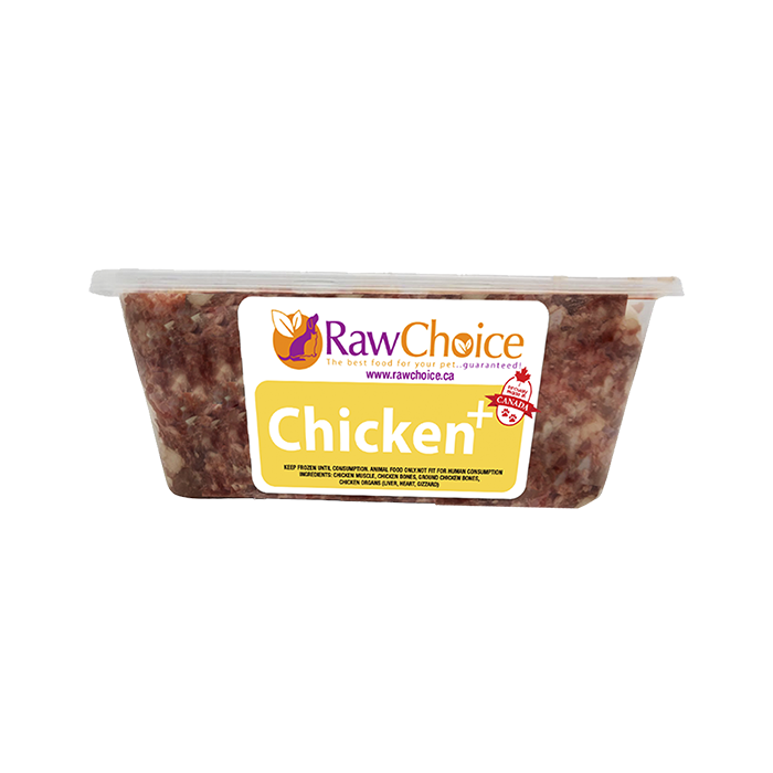 Fresh choice 2024 dog food