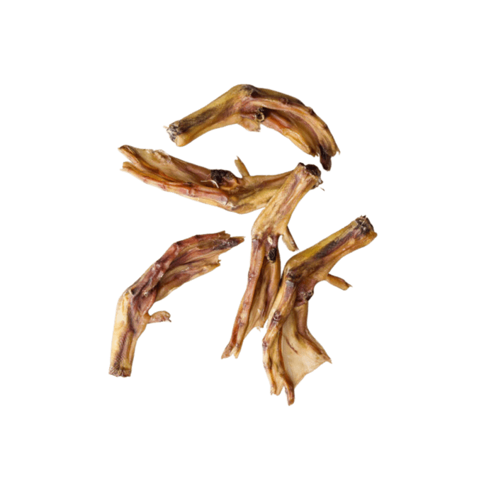 Dehydrated chicken hotsell feet for dogs